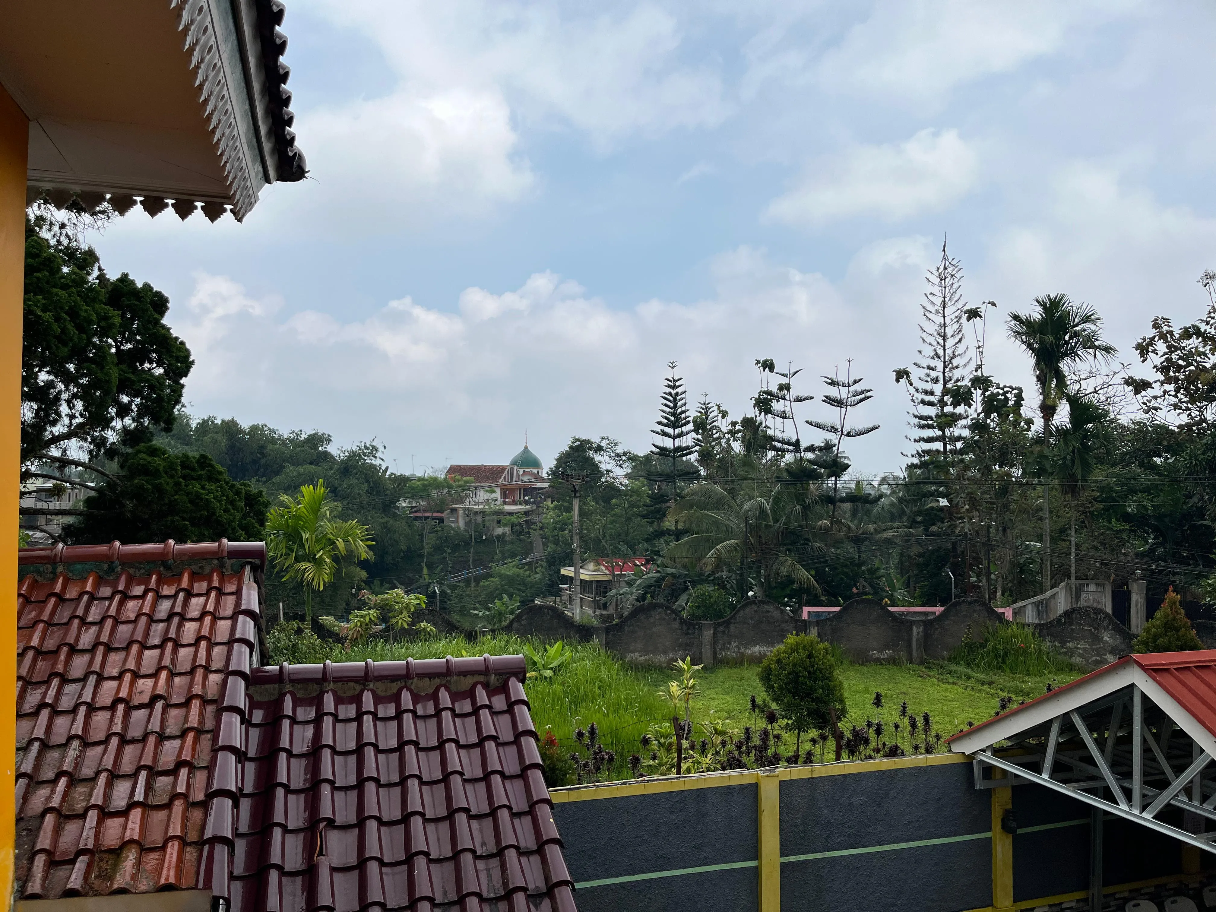 Catalog Background